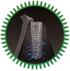 Зона биологической стабильности имплантата MIS - стоматологическая клиника СитиДентаМед